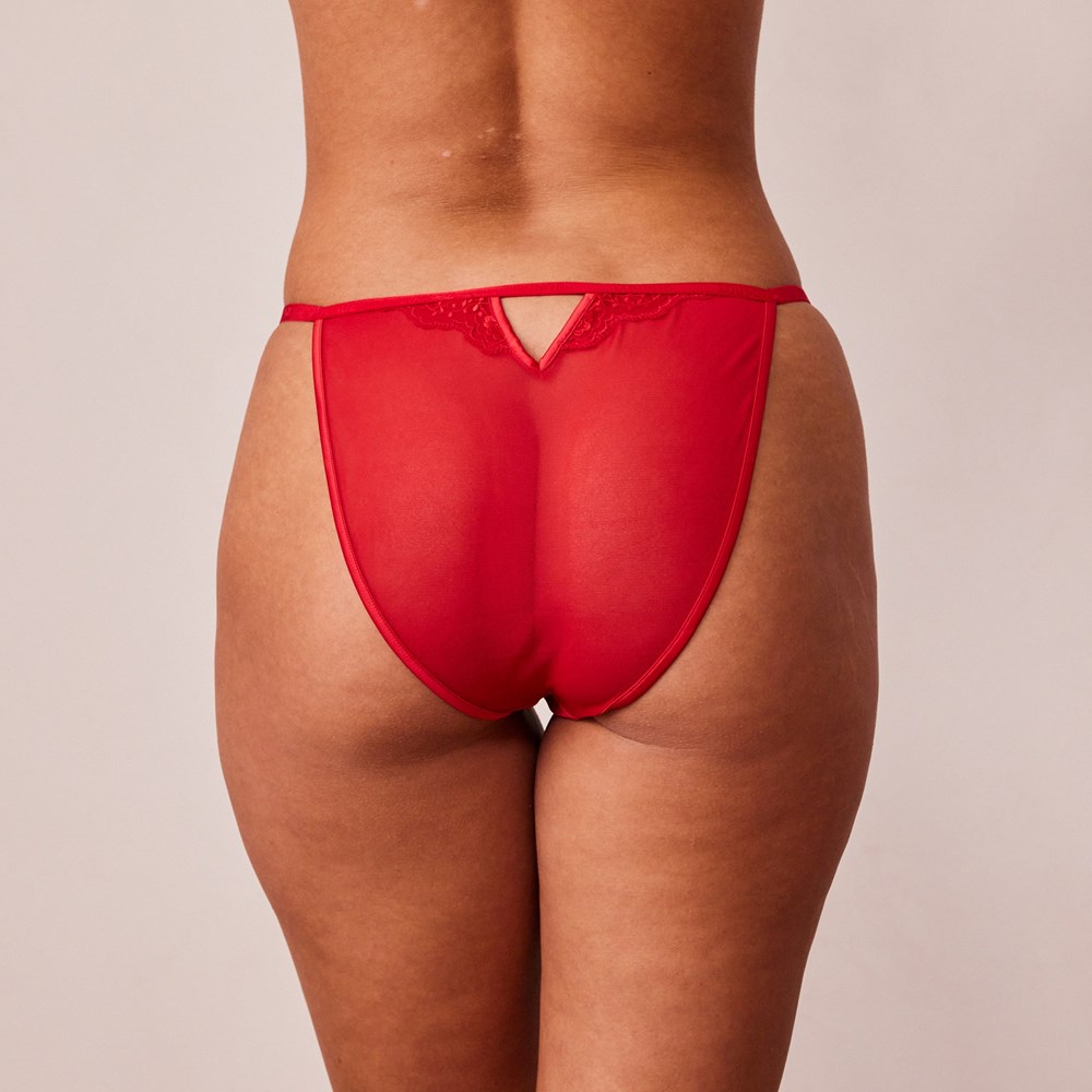 Lounge Underwear Seduce Briefs Bordeaux | RFMOHV-157